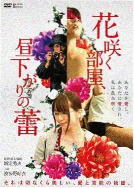 第二封回信 剧情片海报